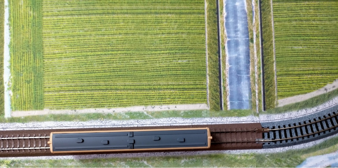 f:id:coedowalk:20210628150209j:plain