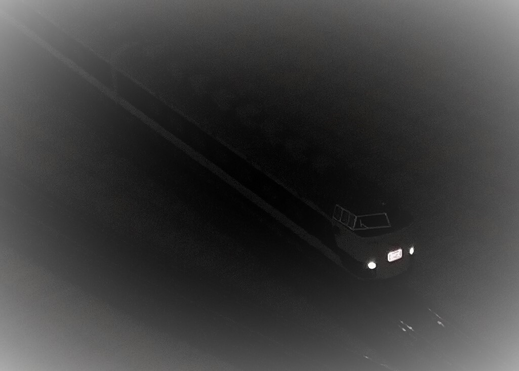 f:id:coedowalk:20210711181119j:plain