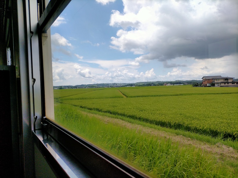 f:id:coedowalk:20210731160142j:plain