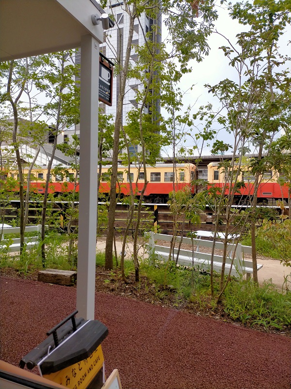 f:id:coedowalk:20210801135710j:plain