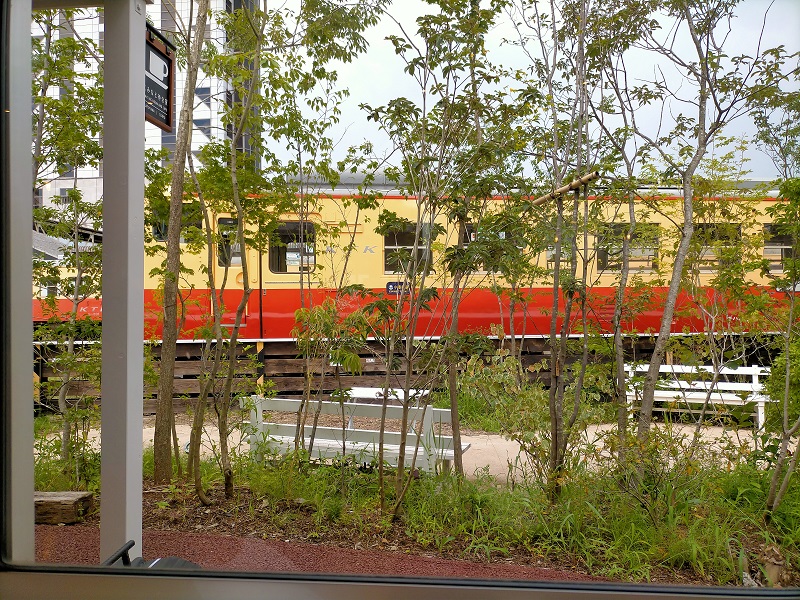 f:id:coedowalk:20210801135727j:plain