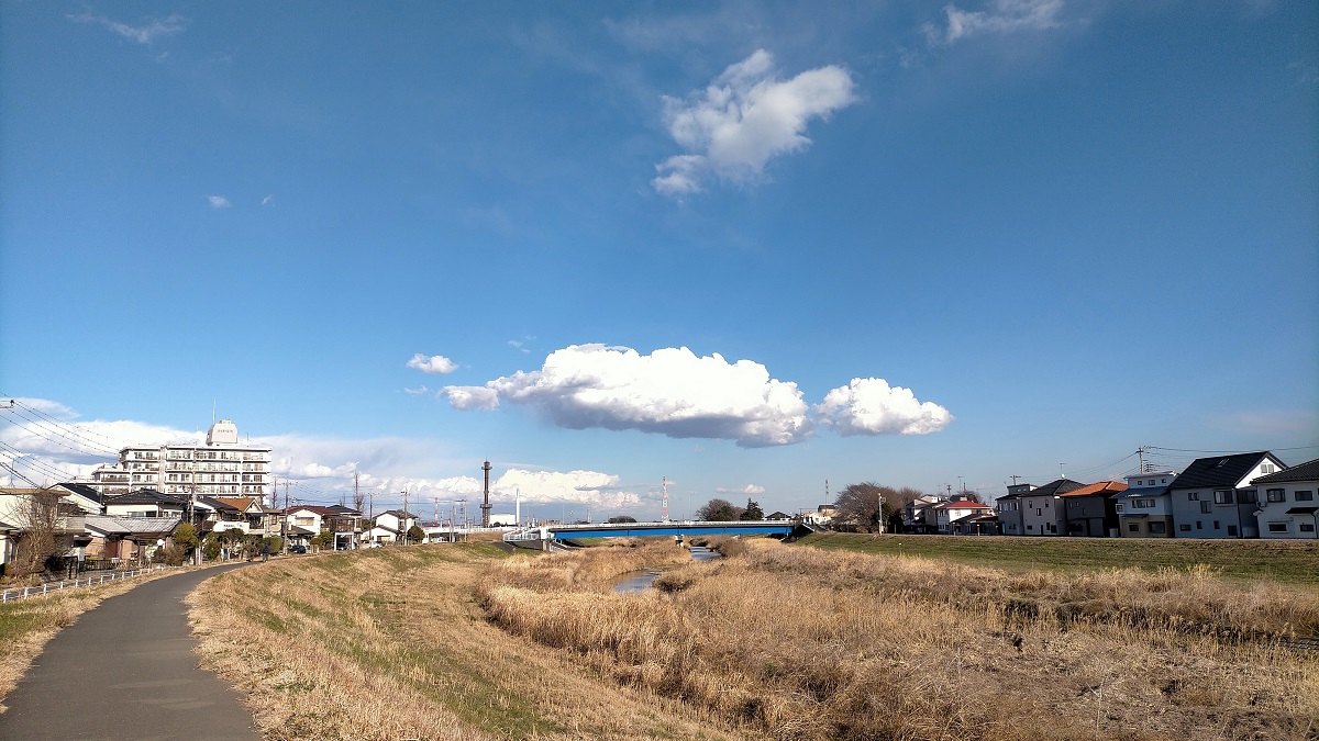 f:id:coedowalk:20211230165821j:plain