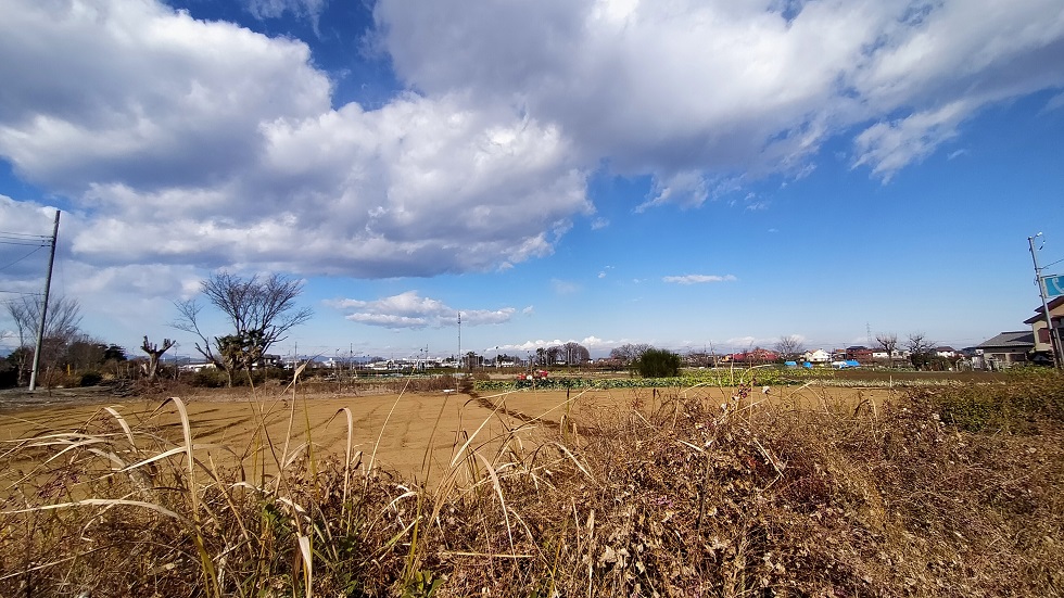 f:id:coedowalk:20211231145400j:plain