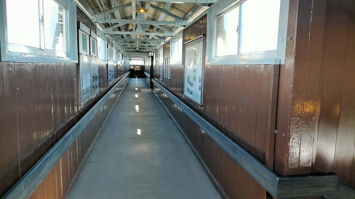 f:id:coedowalk:20220105191803j:plain