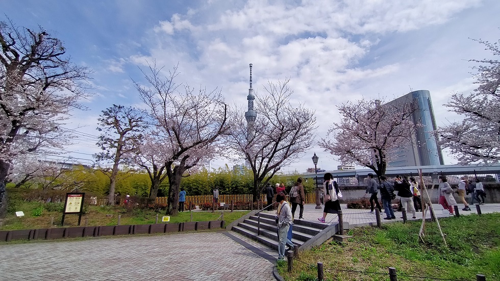 f:id:coedowalk:20220401142408j:plain