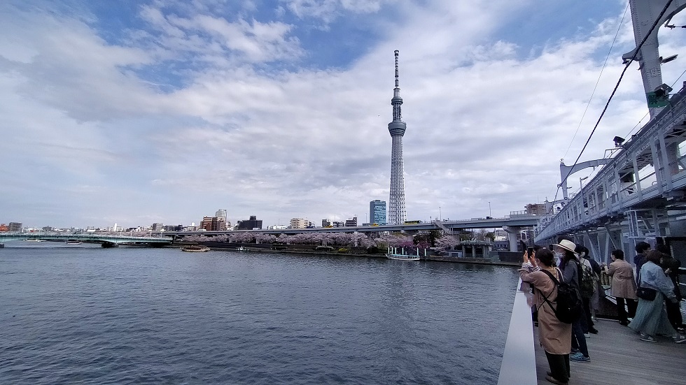 f:id:coedowalk:20220401142849j:plain