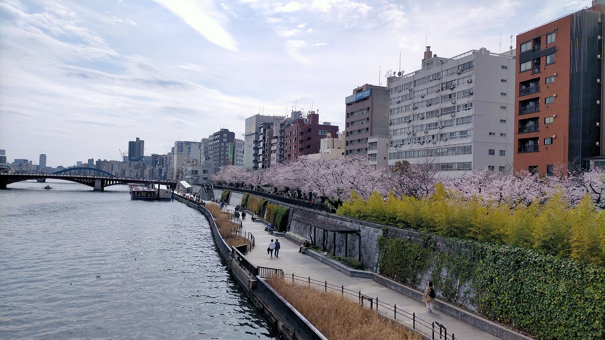 f:id:coedowalk:20220401142859j:plain