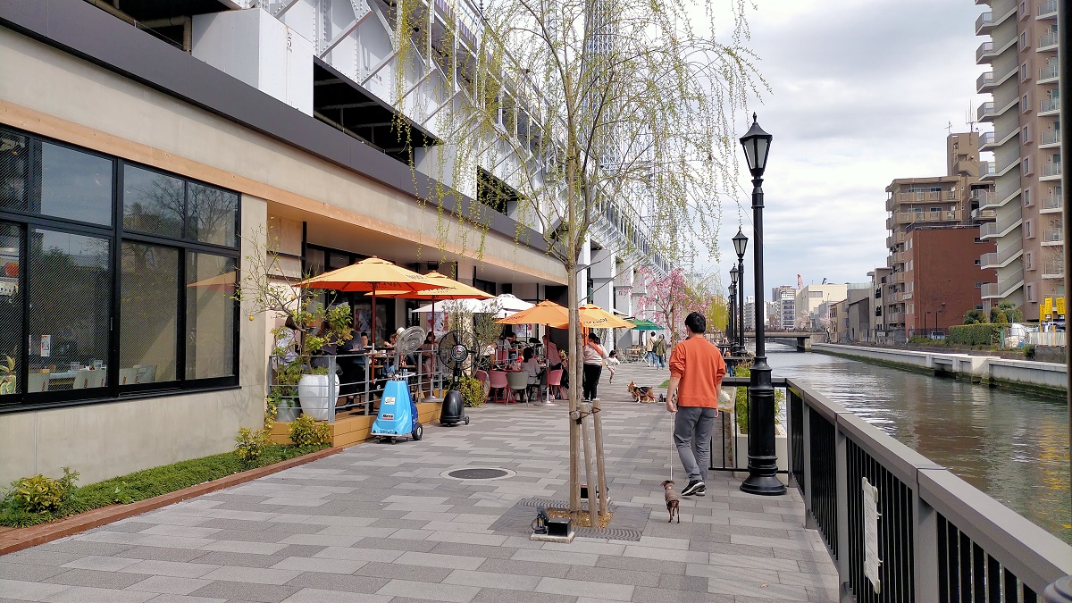 f:id:coedowalk:20220401142942j:plain