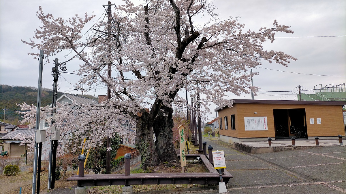 f:id:coedowalk:20220403163431j:plain