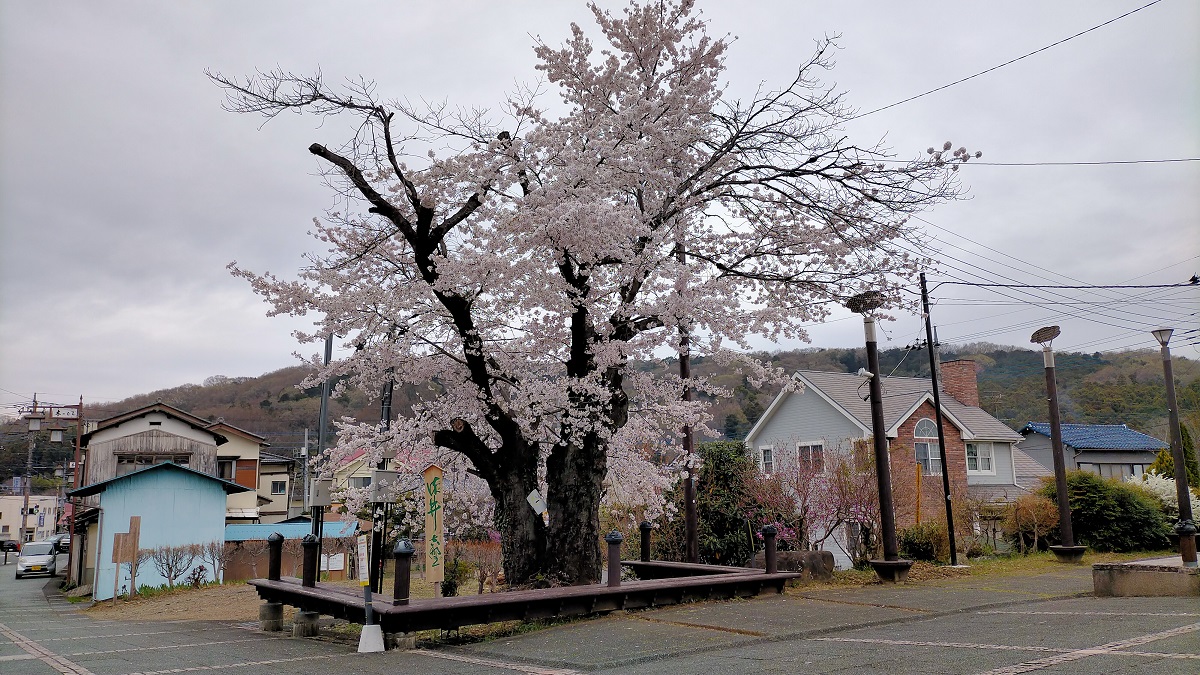 f:id:coedowalk:20220403164931j:plain