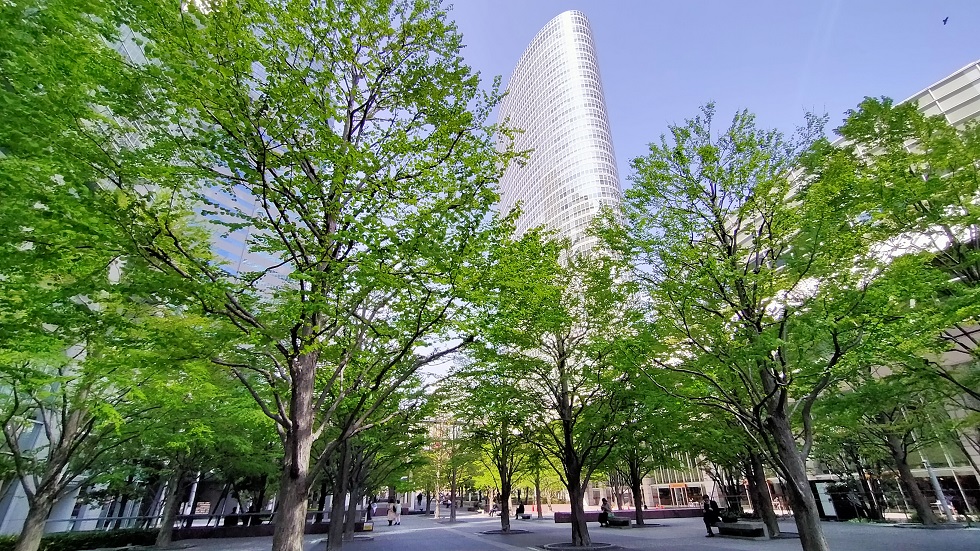 f:id:coedowalk:20220413164329j:plain