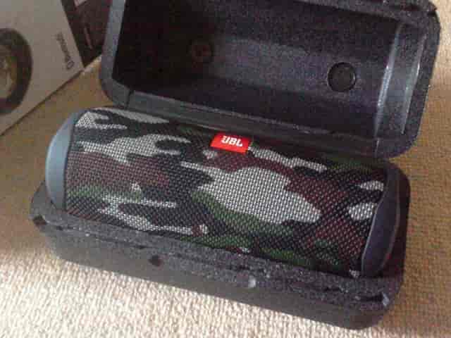 f:id:coelacanthidae:20201107174144j:plain f:id:coelacanthidae:20201107174144j:plain