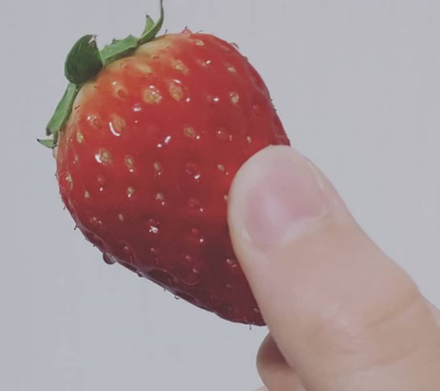 f:id:coffee-y:20190223160931j:image
