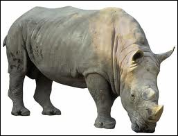 f:id:coffeedog:20170216111300j:plain f:id:coffeedog:20170216111300j:plain