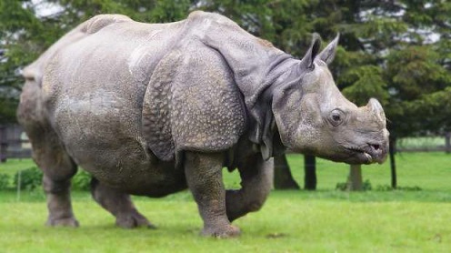 f:id:coffeedog:20170216111426j:plain f:id:coffeedog:20170216111426j:plain