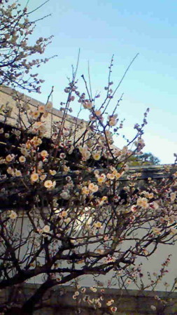 f:id:coffeemill:20090221163500j:image:h300