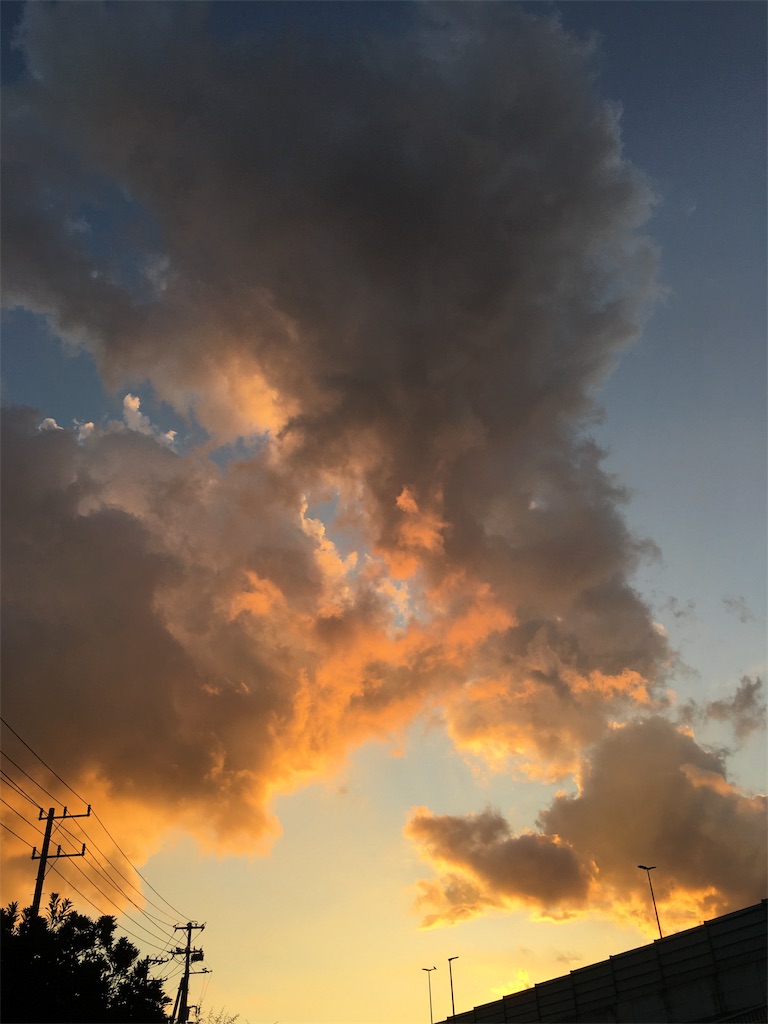 f:id:coffeenoki:20190918110317j:image
