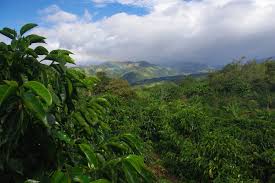 f:id:coffeenotetsujin:20210601200821j:plain