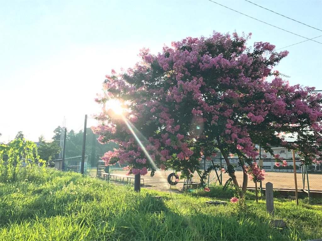 f:id:coffeenyellow:20180731102904j:image