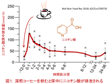 f:id:coffees_for_healthy_life:20190501120211p:plain f:id:coffees_for_healthy_life:20190501120211p:plain