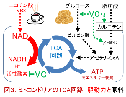 f:id:coffees_for_healthy_life:20190501120313p:plain f:id:coffees_for_healthy_life:20190501120313p:plain