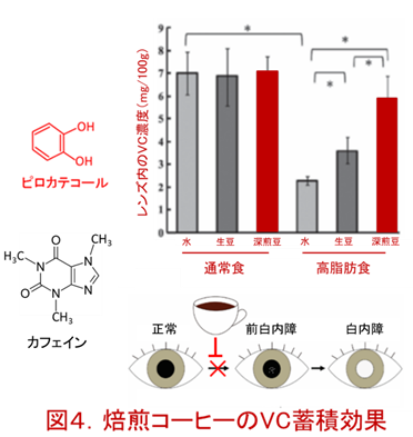 f:id:coffees_for_healthy_life:20190501120335p:plain f:id:coffees_for_healthy_life:20190501120335p:plain