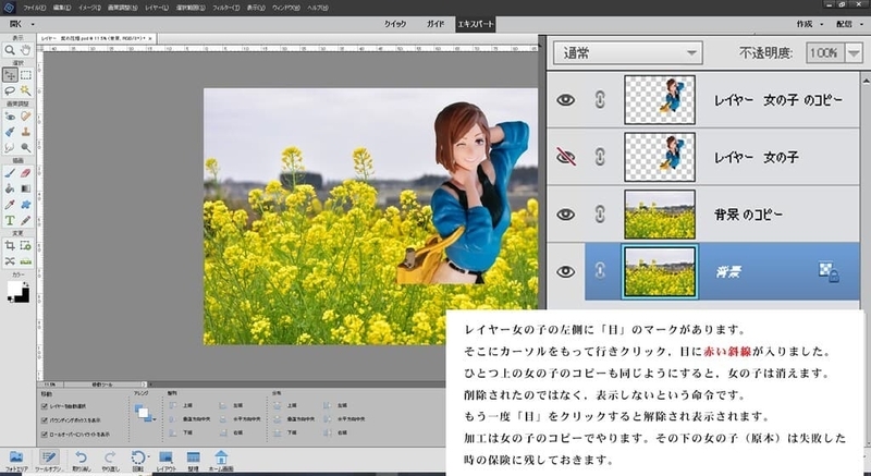 How to 11【被写体の不要な部分を消し中景にする】 - といふぉと