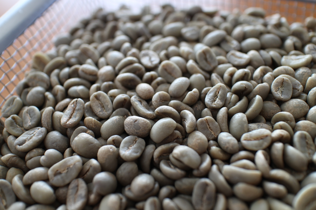 f:id:coffeetraveland:20210708173400j:plain