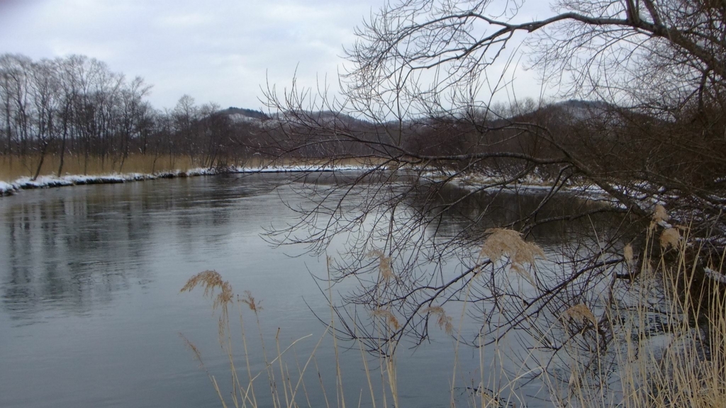 f:id:coffeeusui:20161204122516j:plain f:id:coffeeusui:20161204122516j:plain