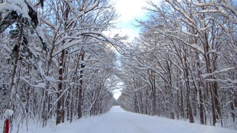 f:id:coffeeusui:20161218140226j:plain f:id:coffeeusui:20161218140226j:plain