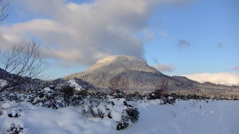 f:id:coffeeusui:20161218140240j:plain f:id:coffeeusui:20161218140240j:plain