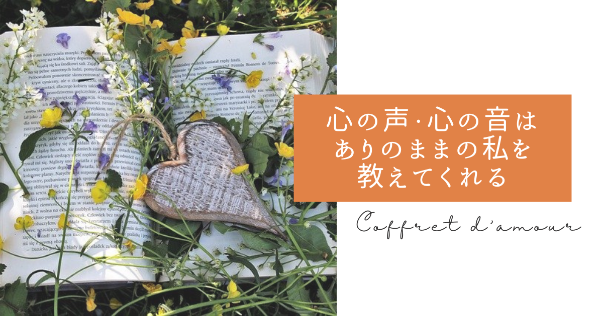 f:id:coffret11x:20210725120536p:plain