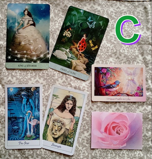 f:id:coffret11x:20211101151122j:image