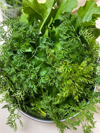 f:id:coffret11x:20211119081346j:image