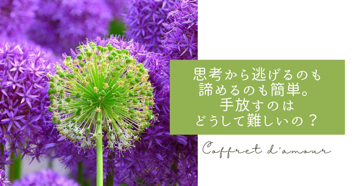 f:id:coffret11x:20211128144730p:plain