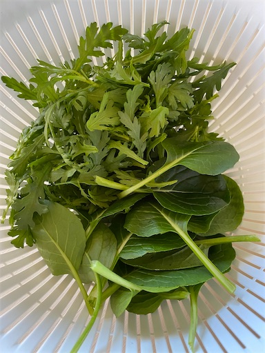 f:id:coffret11x:20220218165721j:image f:id:coffret11x:20220218165721j:image