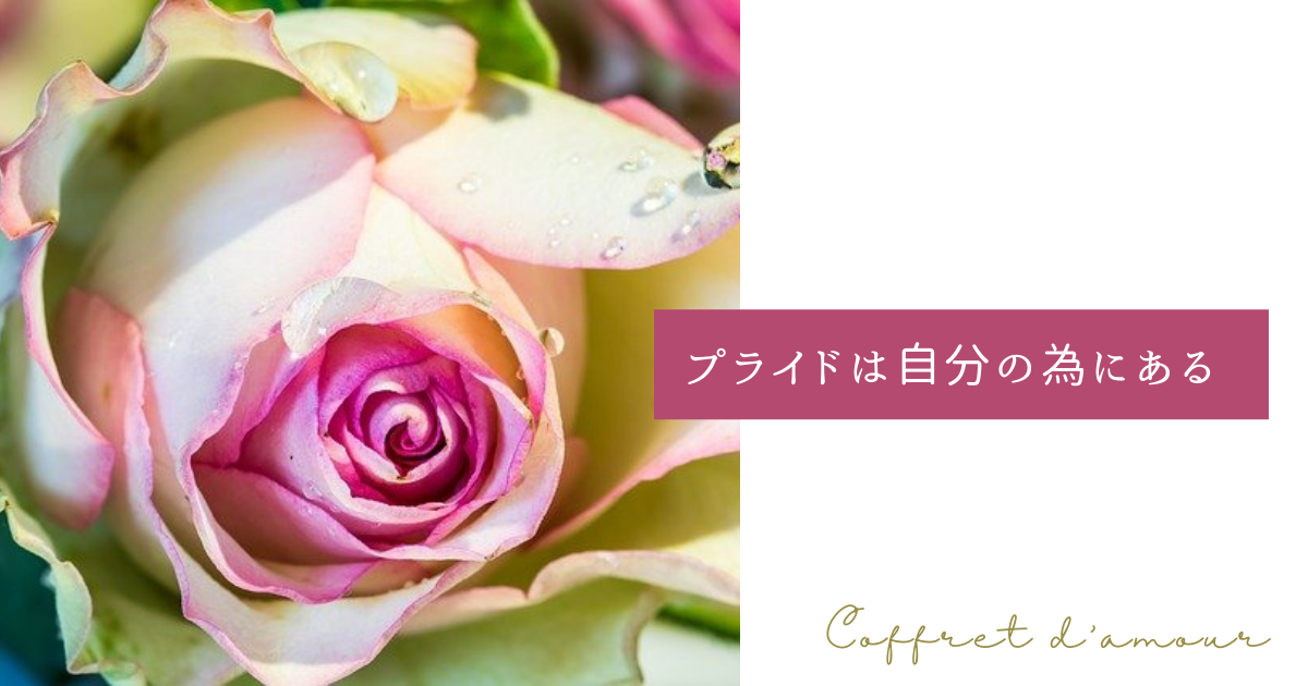 f:id:coffret11x:20220306152727p:plain