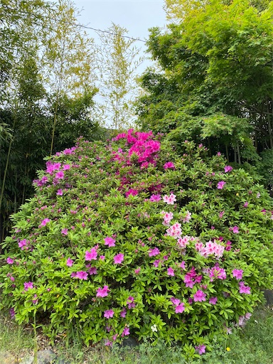 f:id:coffret11x:20220430182204j:image