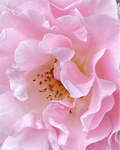 f:id:coffret11x:20220507160717j:image