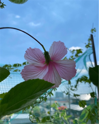 f:id:coffret11x:20220819195535j:image