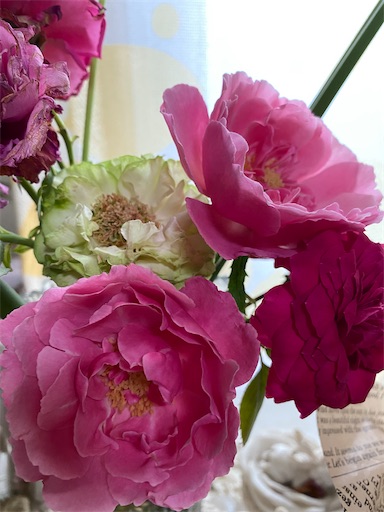 f:id:coffret11x:20220819200534j:image