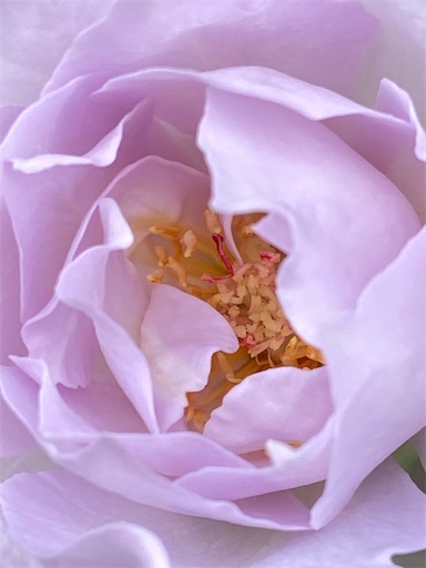 f:id:coffret11x:20220825174622j:image f:id:coffret11x:20220825174622j:image