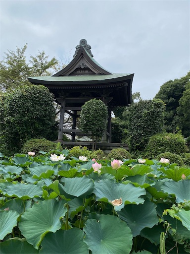 f:id:coffret11x:20220825223800j:image f:id:coffret11x:20220825223800j:image