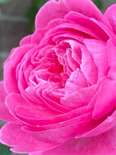 f:id:coffret11x:20220904093653j:image