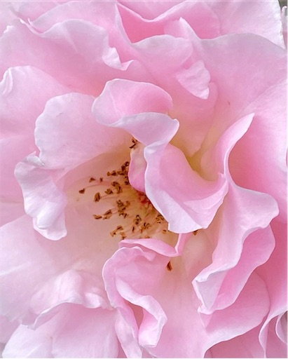 f:id:coffret11x:20220904093737j:image