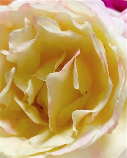 f:id:coffret11x:20220904093822j:image