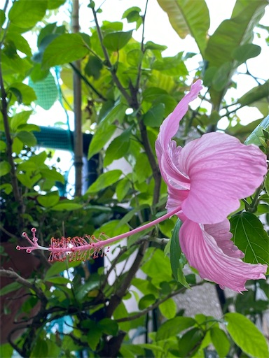 f:id:coffret11x:20220914203614j:image