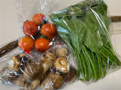 f:id:coffret11x:20221023123529j:image