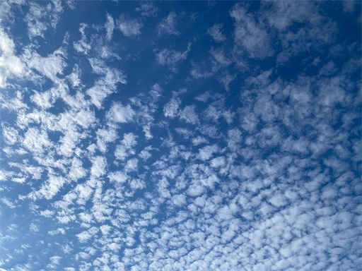 f:id:coffret11x:20221023123532j:image