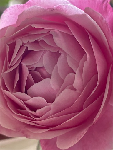 f:id:coffret11x:20221110190816j:image f:id:coffret11x:20221110190816j:image